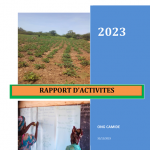 Rapport d'activités 2023