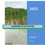 Rapport d'activités 2025